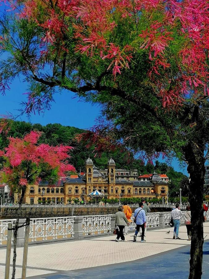 La Ostra De Mirakontxa Apartment San Sebastian Bagian luar foto
